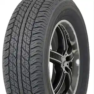 Шины R17 Dunlop