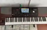 Синтезатор Korg Pa 1000-3