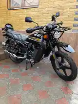 Мотоцикл GLX-SUZUKI - 150cc куба-2