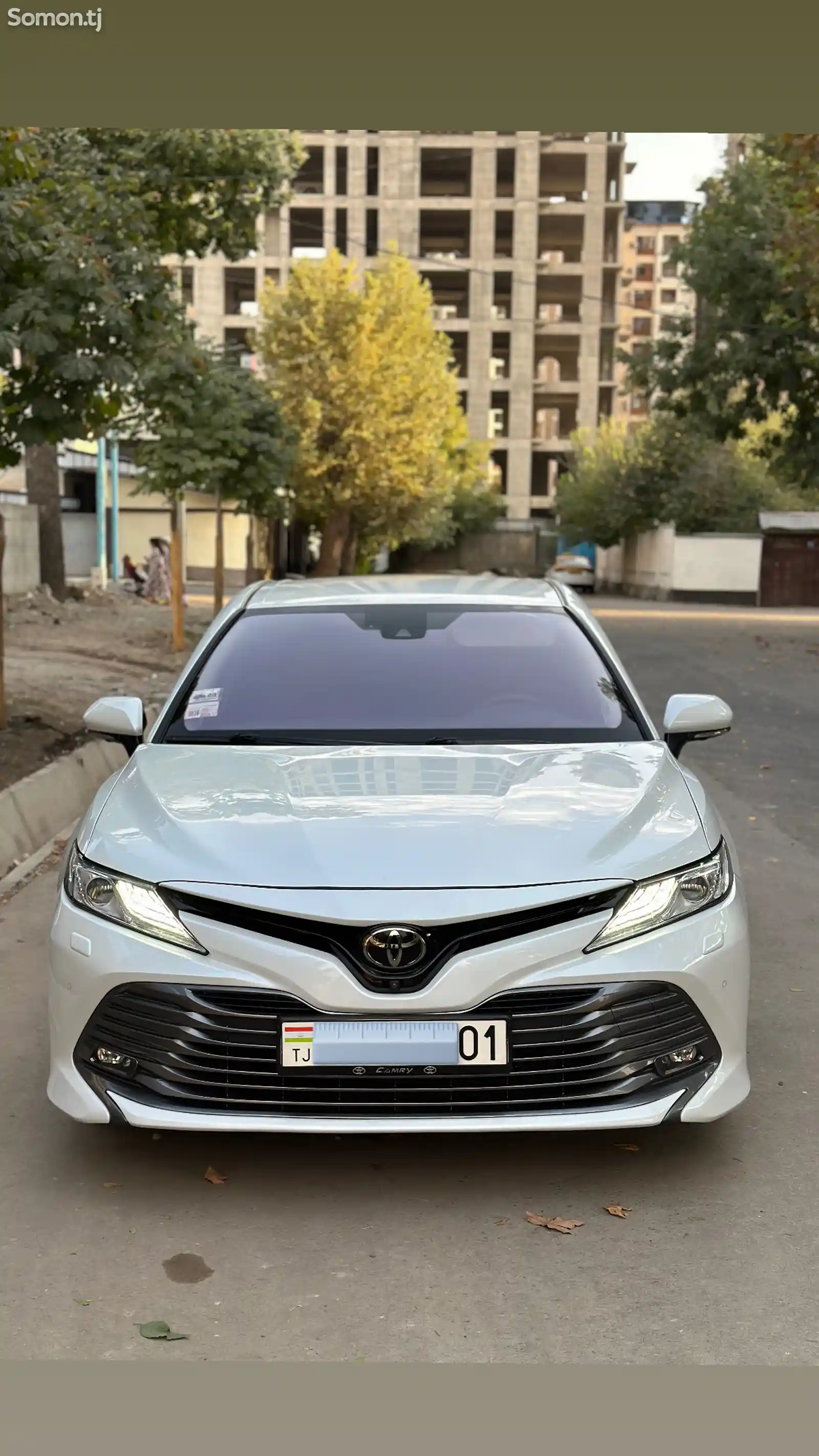 Toyota Camry, 2019-1