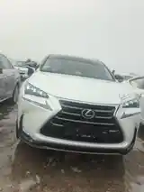 Lexus NX series, 2018-2