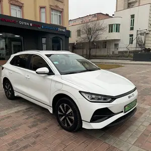 BYD E2, 2024