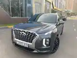 Hyundai Palisade, 2020-15