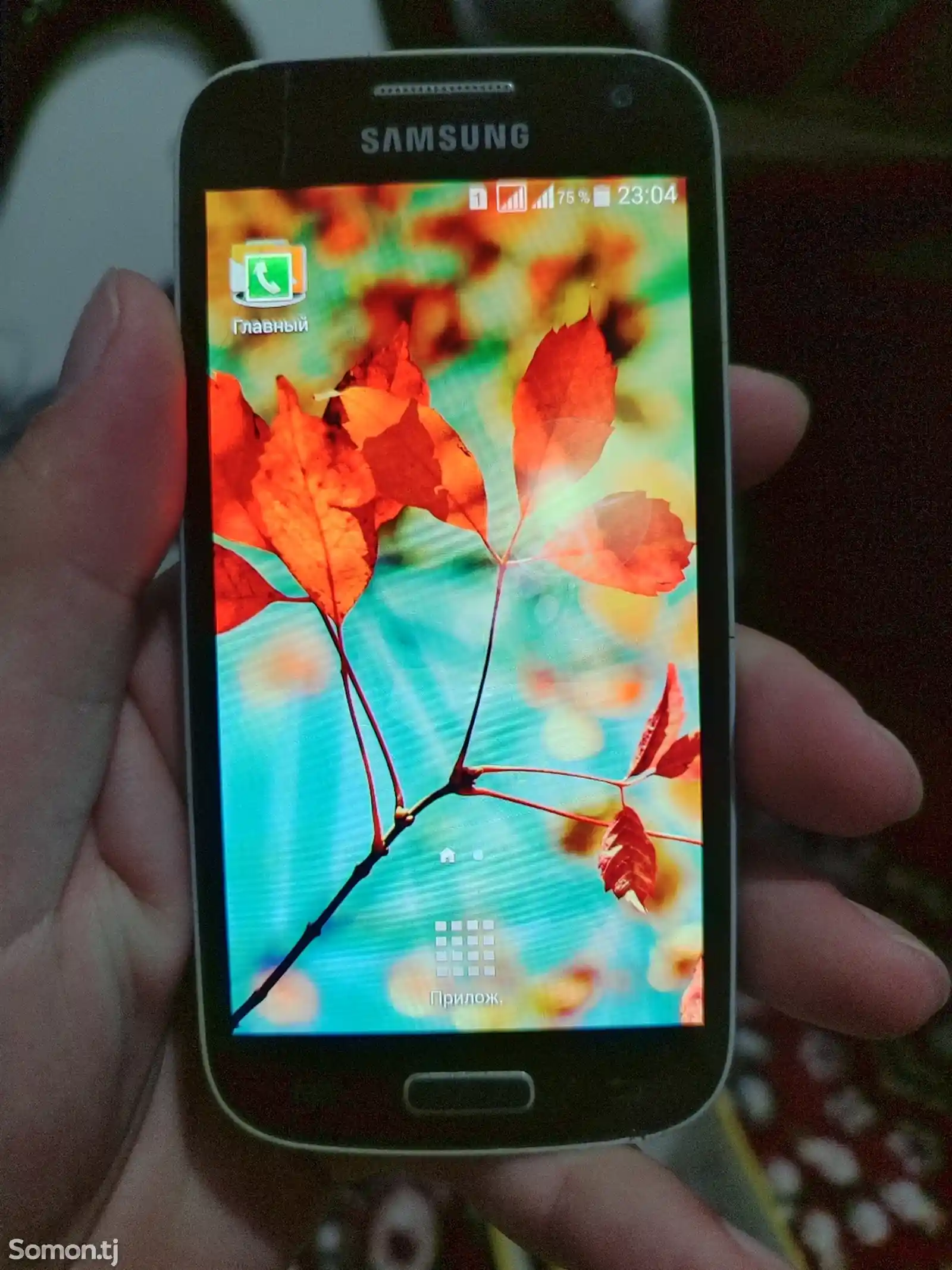 Samsung Galaxy S4 Mini Duos-5