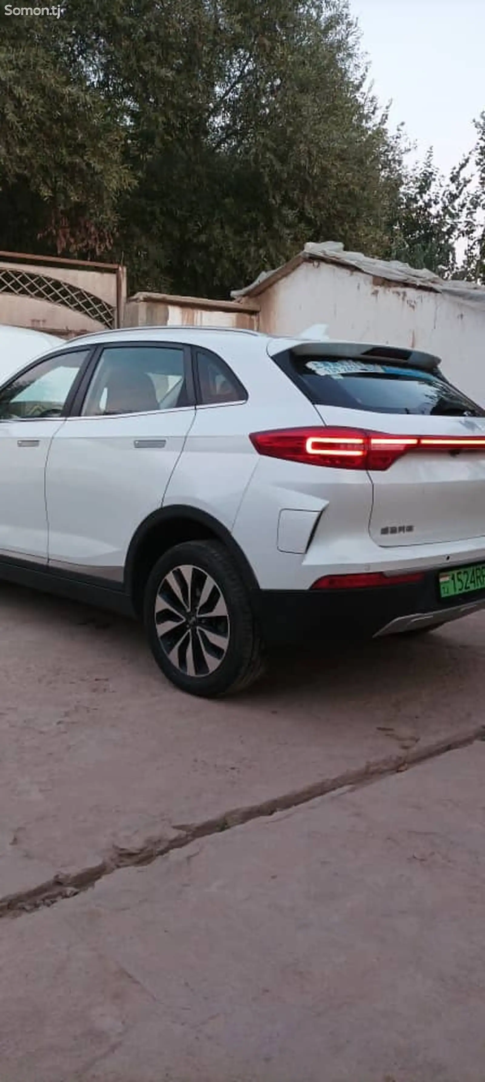 BYD Другие модели, 2019-6