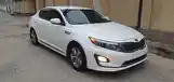 Kia K series, 2015-2