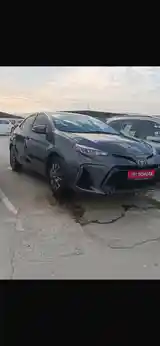 Toyota Corolla, 2019-2