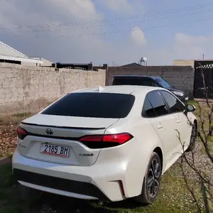 Toyota Corolla, 2020