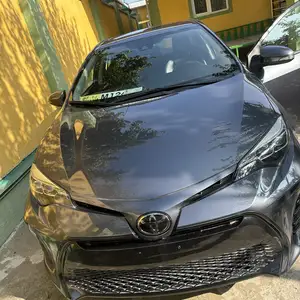 Toyota Corolla, 2019