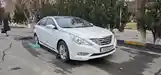 Hyundai Sonata, 2010-3