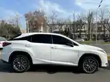 Lexus RX series, 2017-4