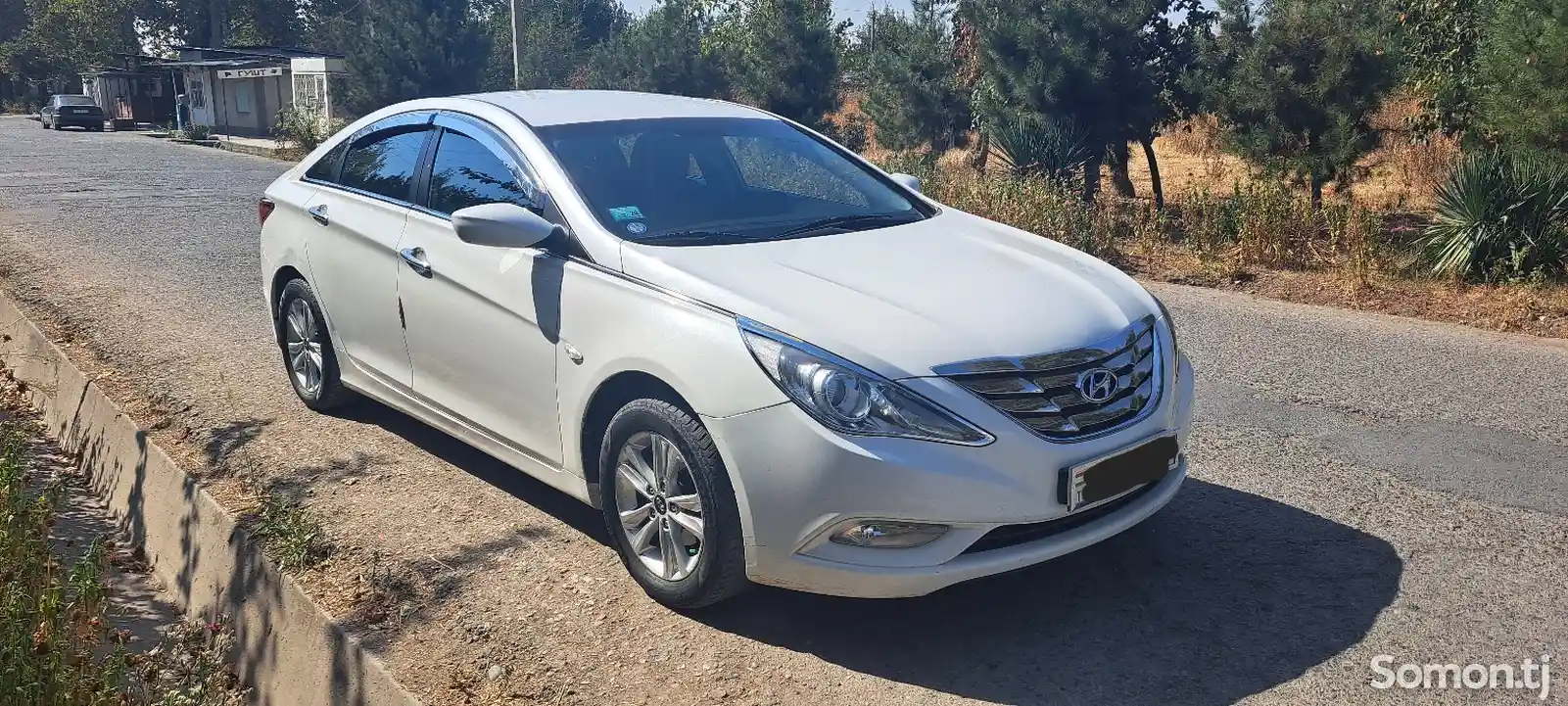 Hyundai Sonata, 2010-3