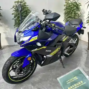 Мотоцикл Suzuki RGSX250cc на заказ