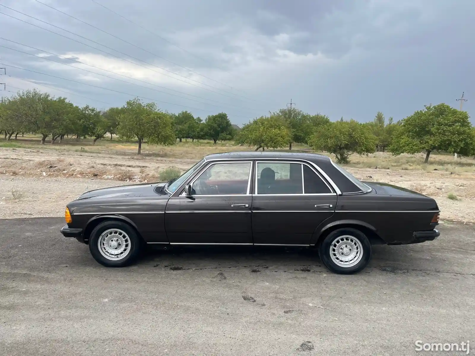 Mercedes-Benz W201, 1981-2