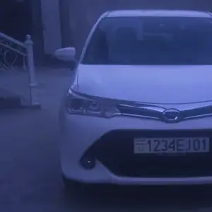 Toyota Axio, 2016