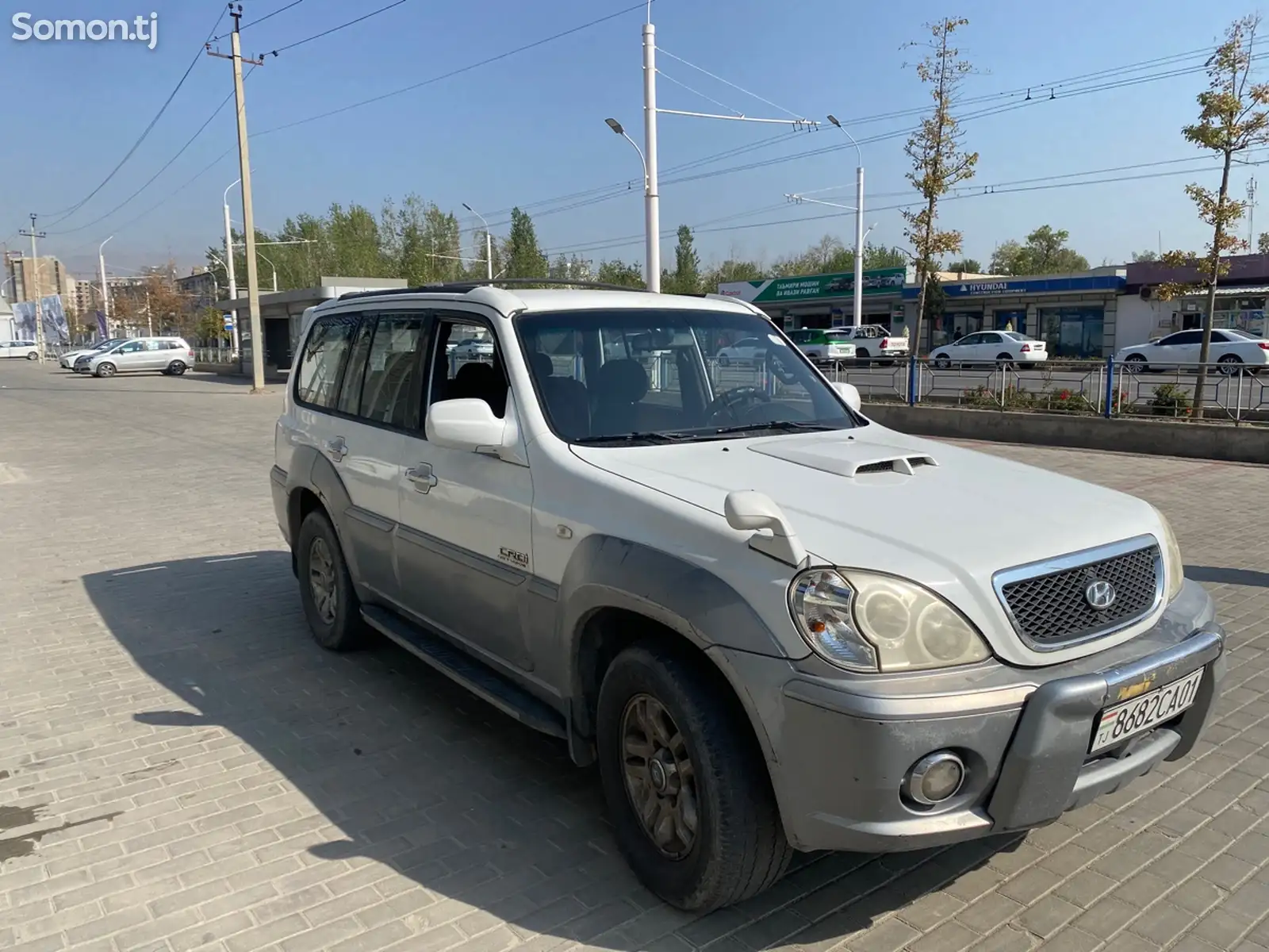 Hyundai Terracan, 2003-3