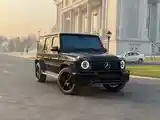 Mercedes-Benz G class, 2021-3