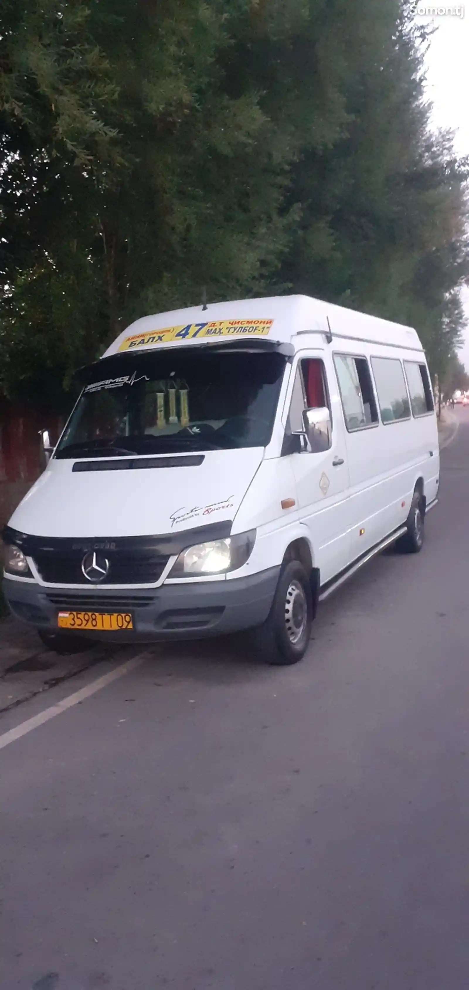 Микроавтобус Mercedes-Benz Sprinter ,2006-3