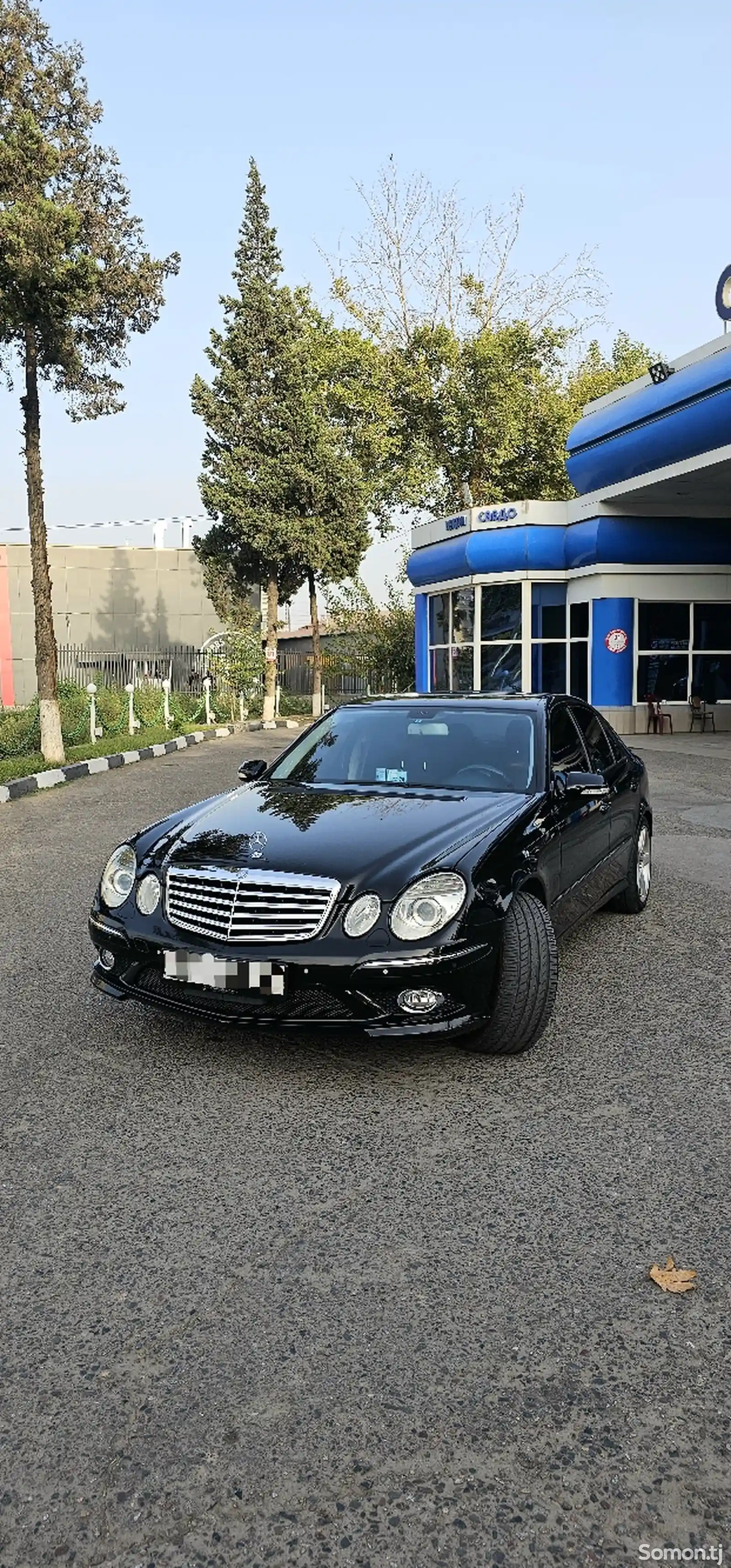 Mercedes-Benz E class, 2008-9