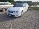 Hyundai Sonata, 2011-5