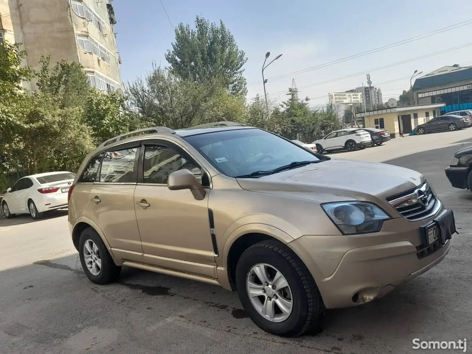 Opel Antara, 2008-1