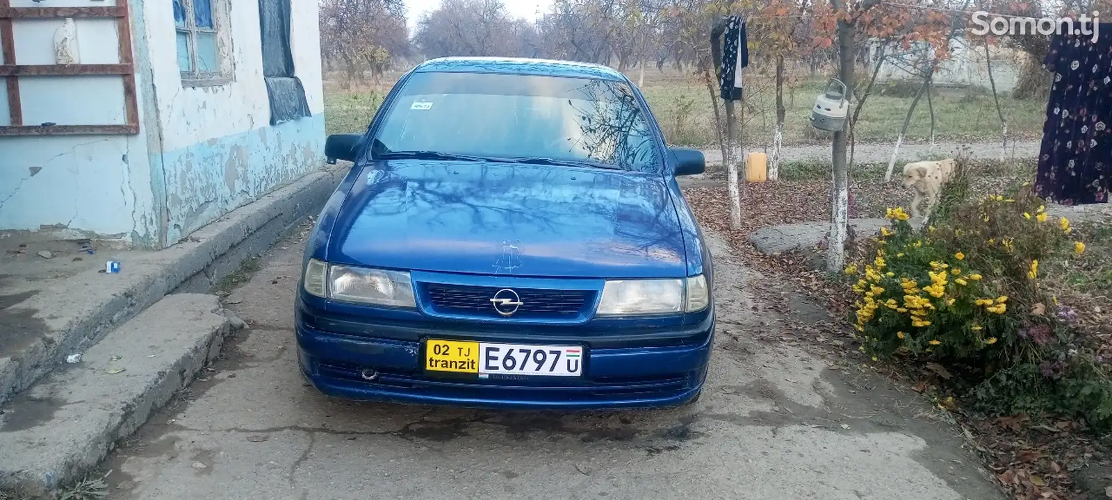 Opel Vectra A, 1993-1