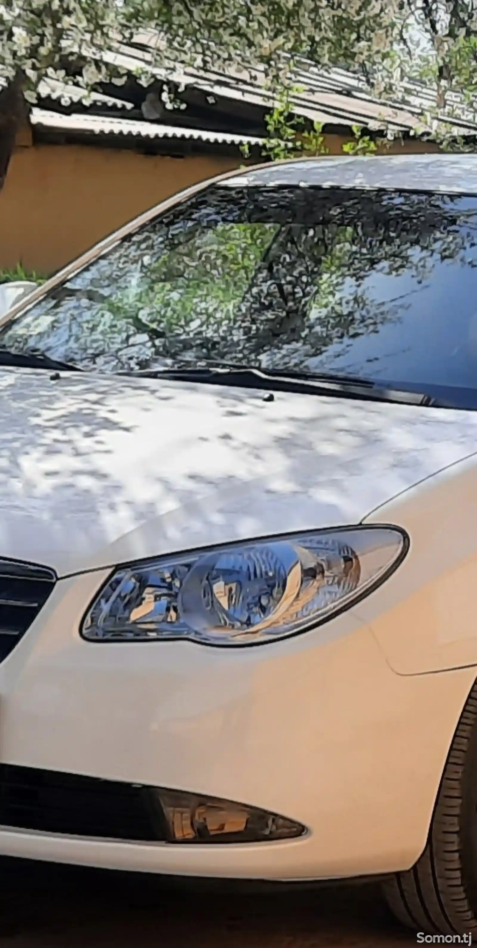 Hyundai Avante, 2009-10