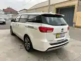 Kia Carnival, 2015-4