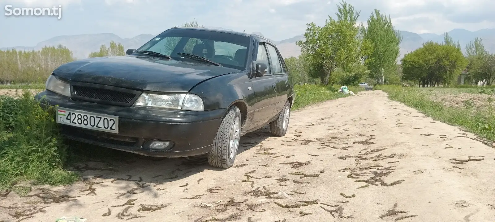 Daewoo Nexia, 1995-6