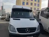 Микроавтобус Mercedes sprinter, 2007-4