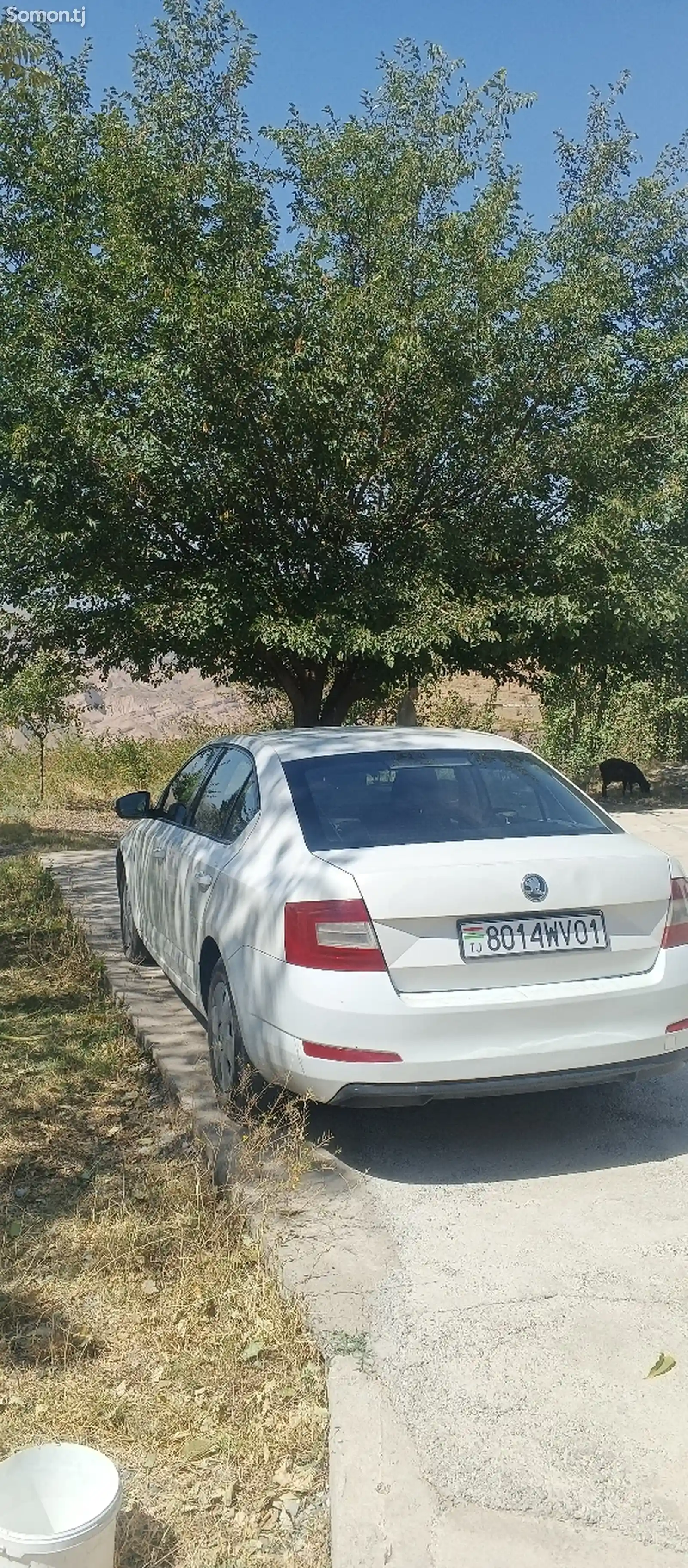 Skoda Octavia, 2014-4