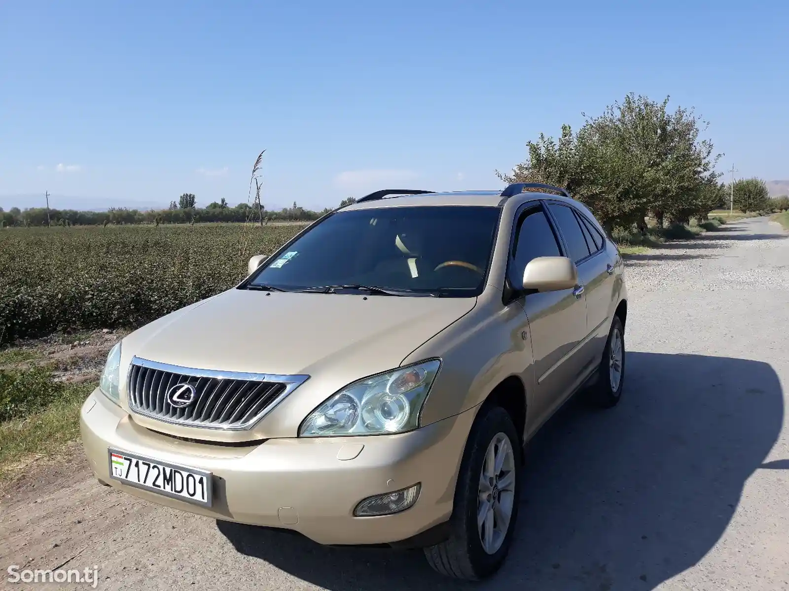 Lexus RX series, 2009-10