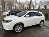 Lexus RX series, 2010-5