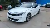 Kia K series, 2018-4