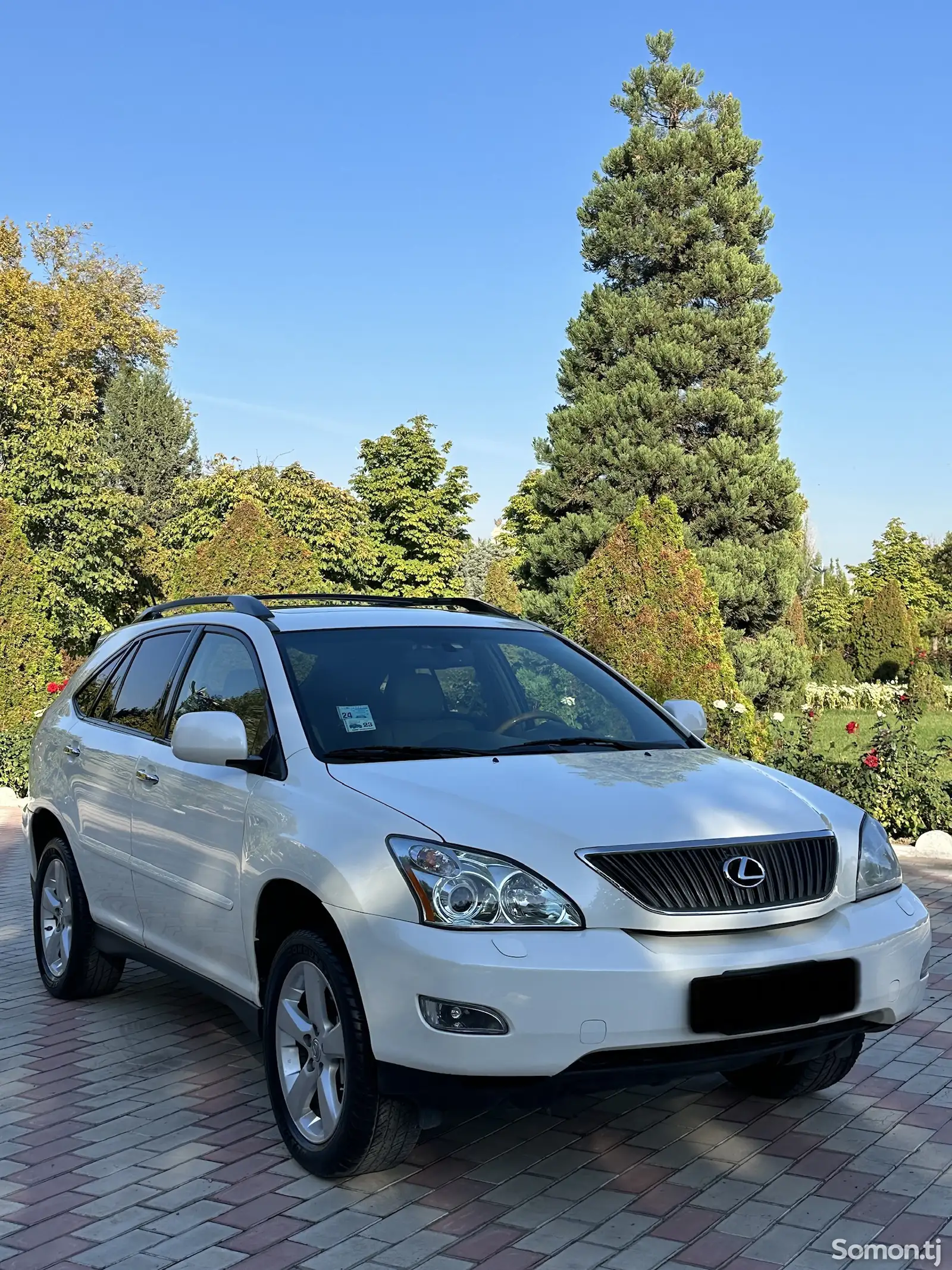 Lexus RX series, 2008-5