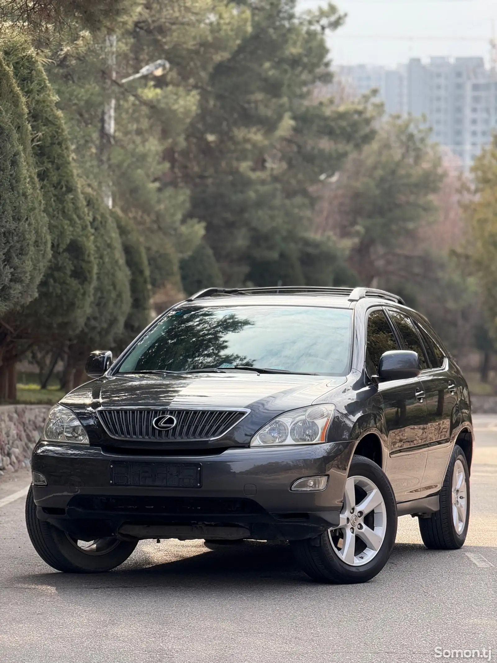 Lexus RX series, 2007-1