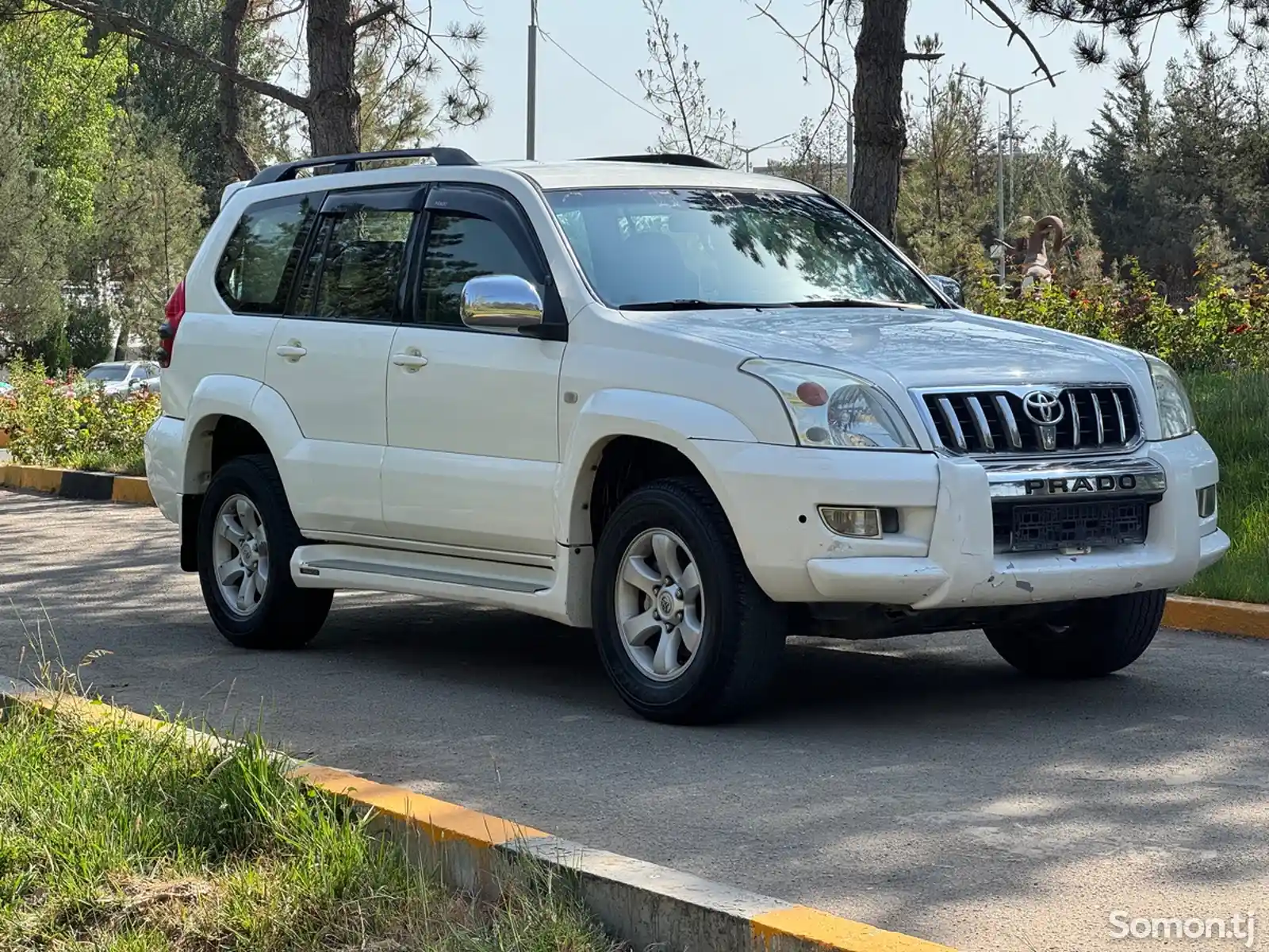 Toyota Land Cruiser Prado, 2009-3