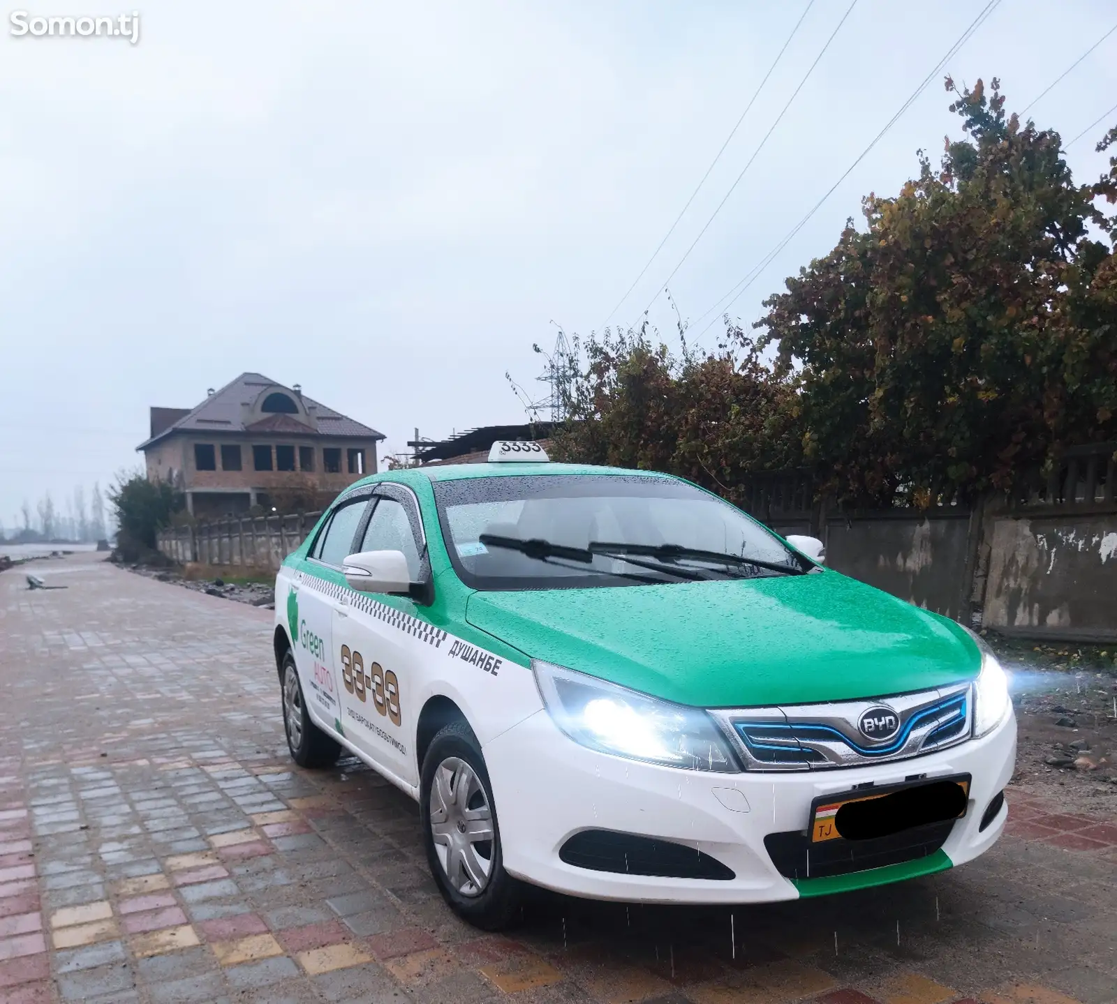 BYD Другие модели, 2019-1