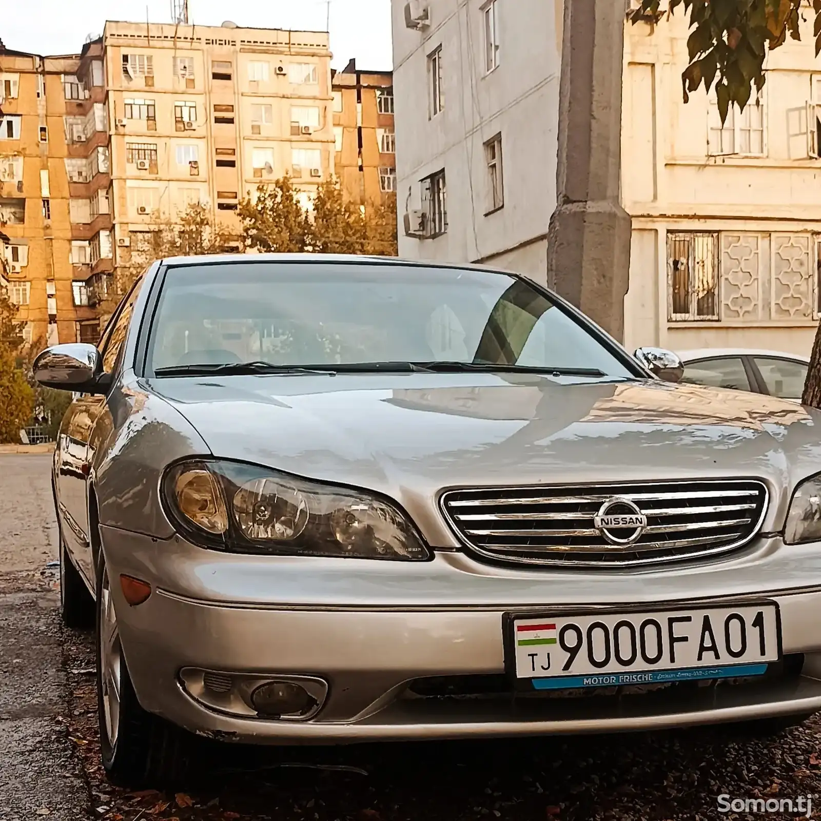 Nissan Maxima, 2004-1