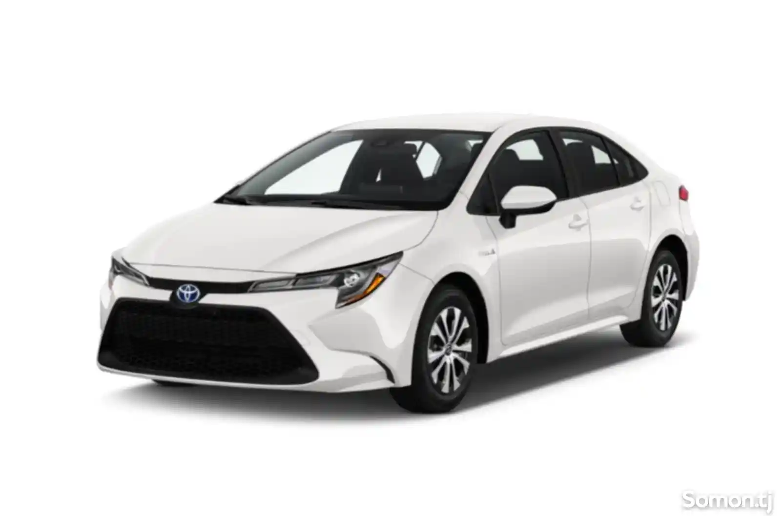 Лобовое стекло на Toyota Corolla 2020