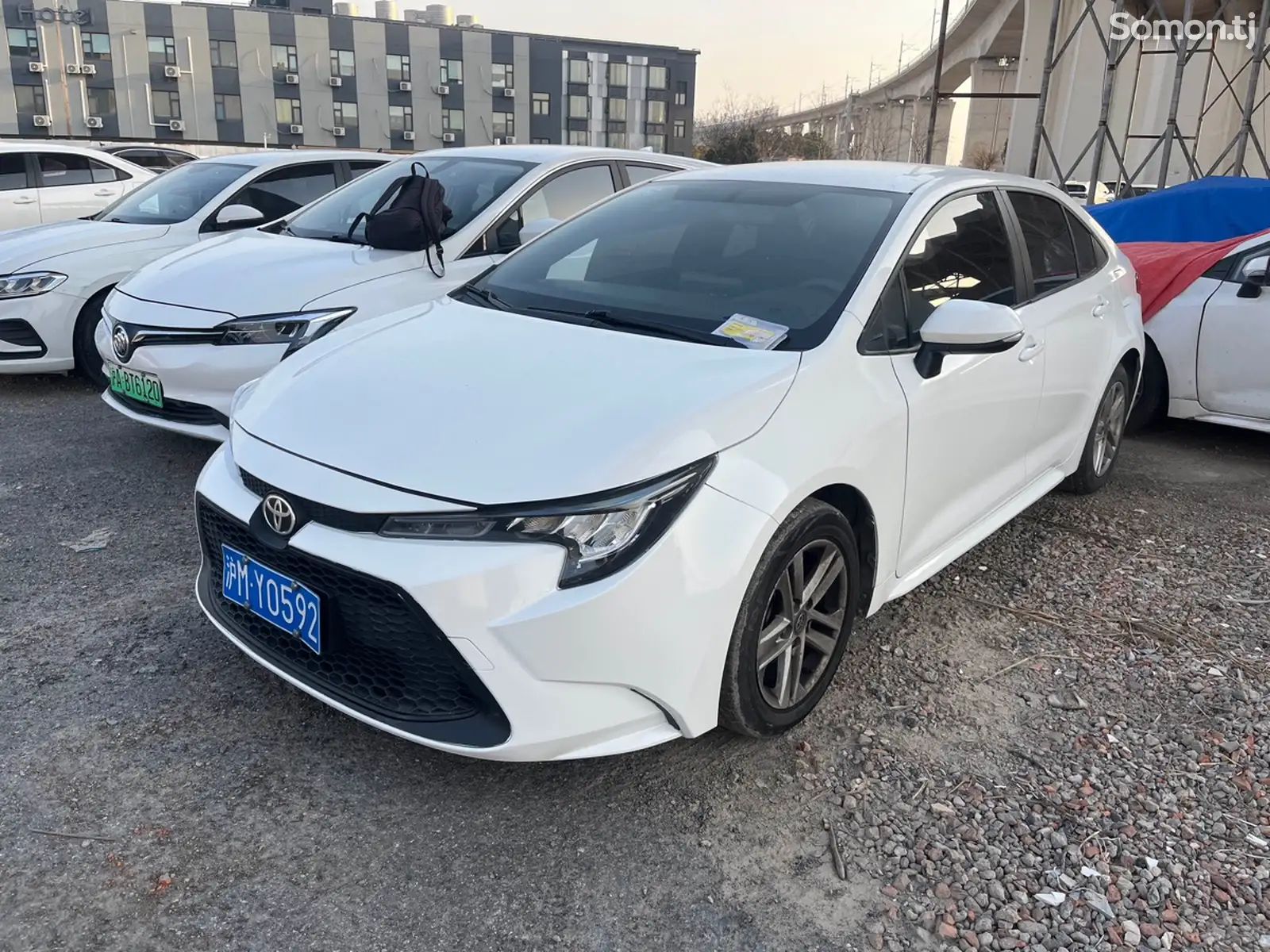 Toyota Corolla, 2021-1