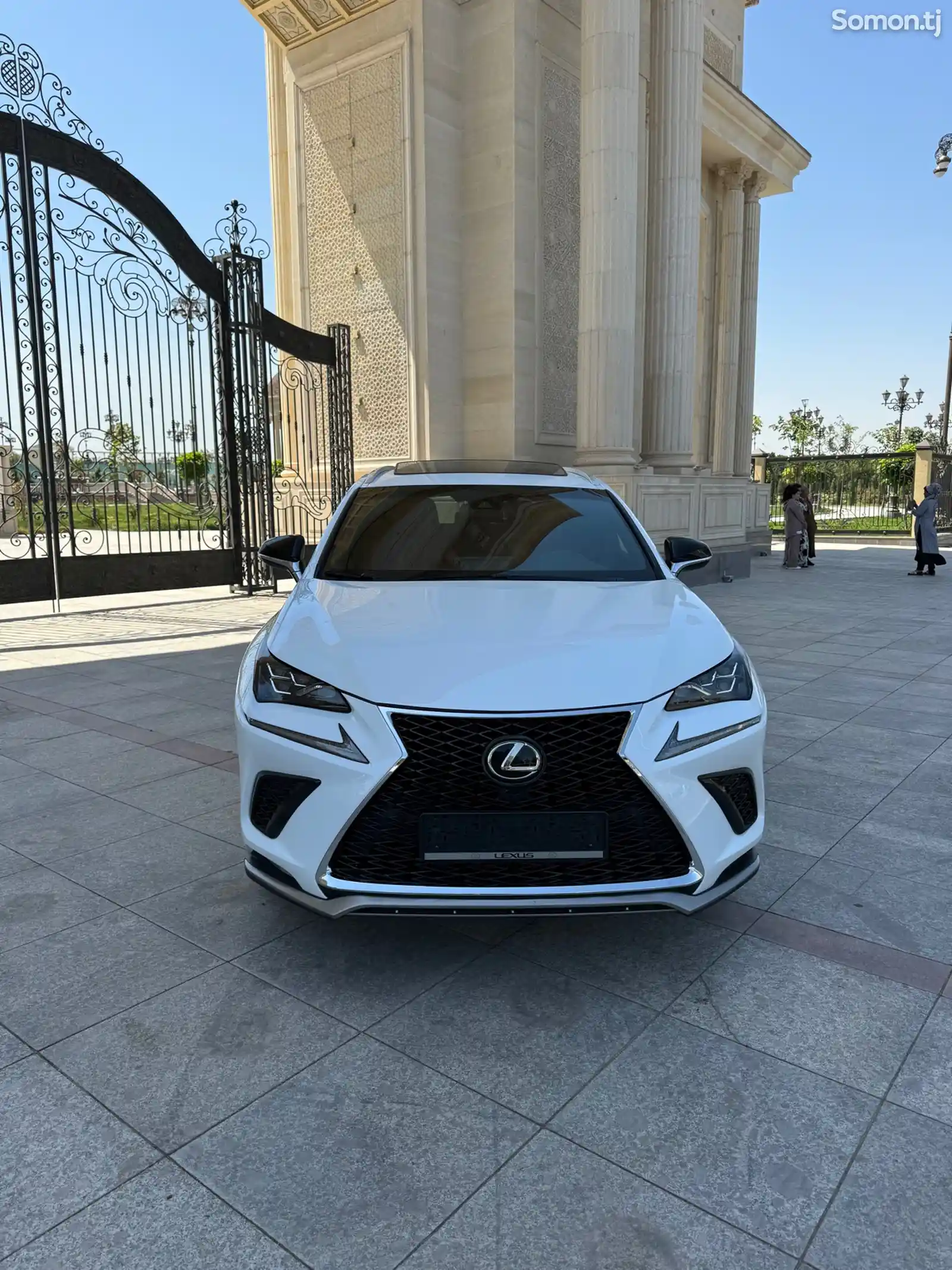 Lexus NX series, 2019-8