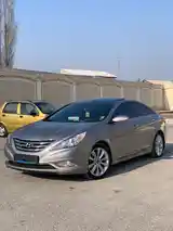 Hyundai Sonata, 2010-3