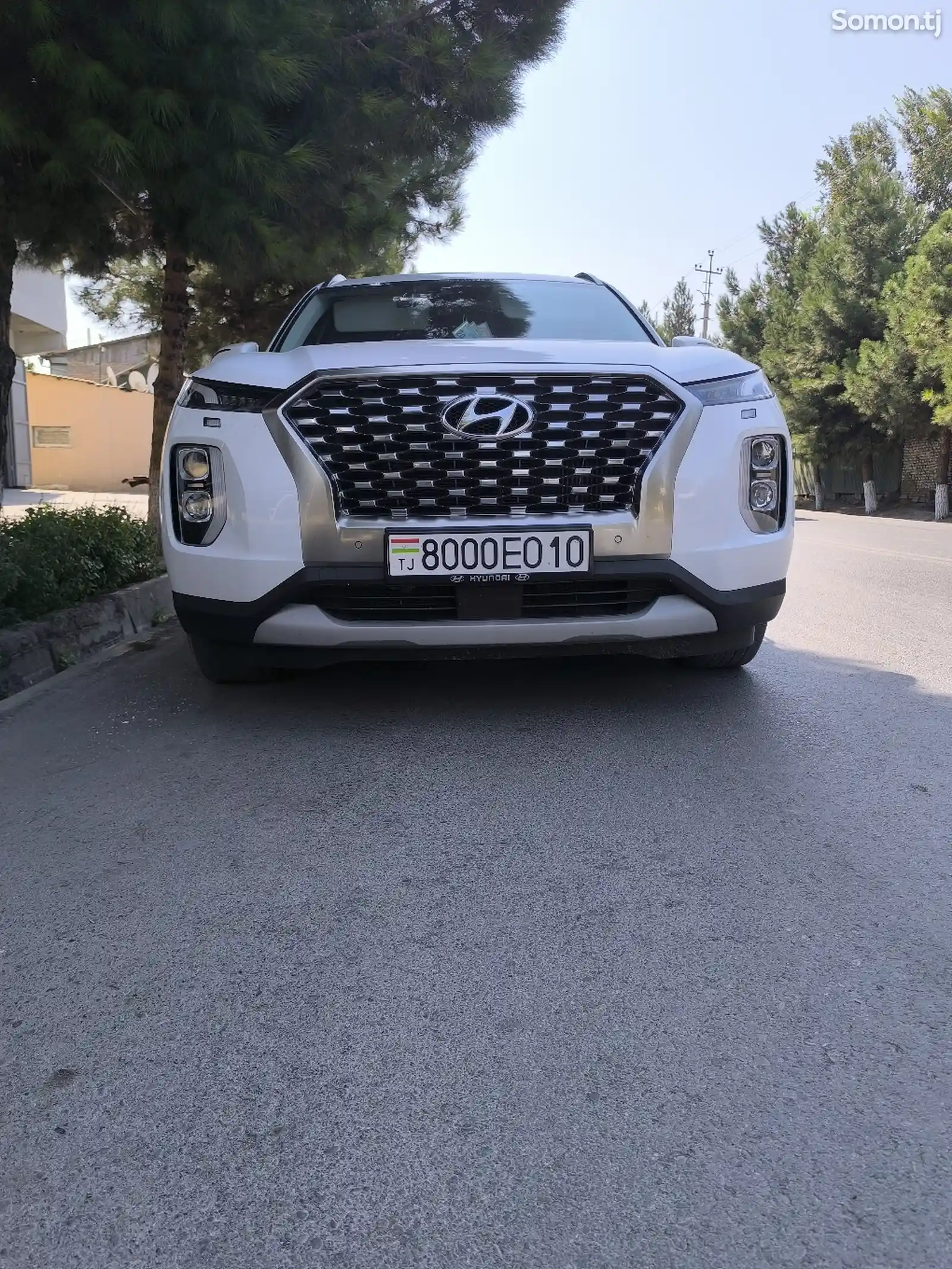 Hyundai Palisade, 2019-11