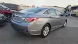 Hyundai Sonata, 2014-4