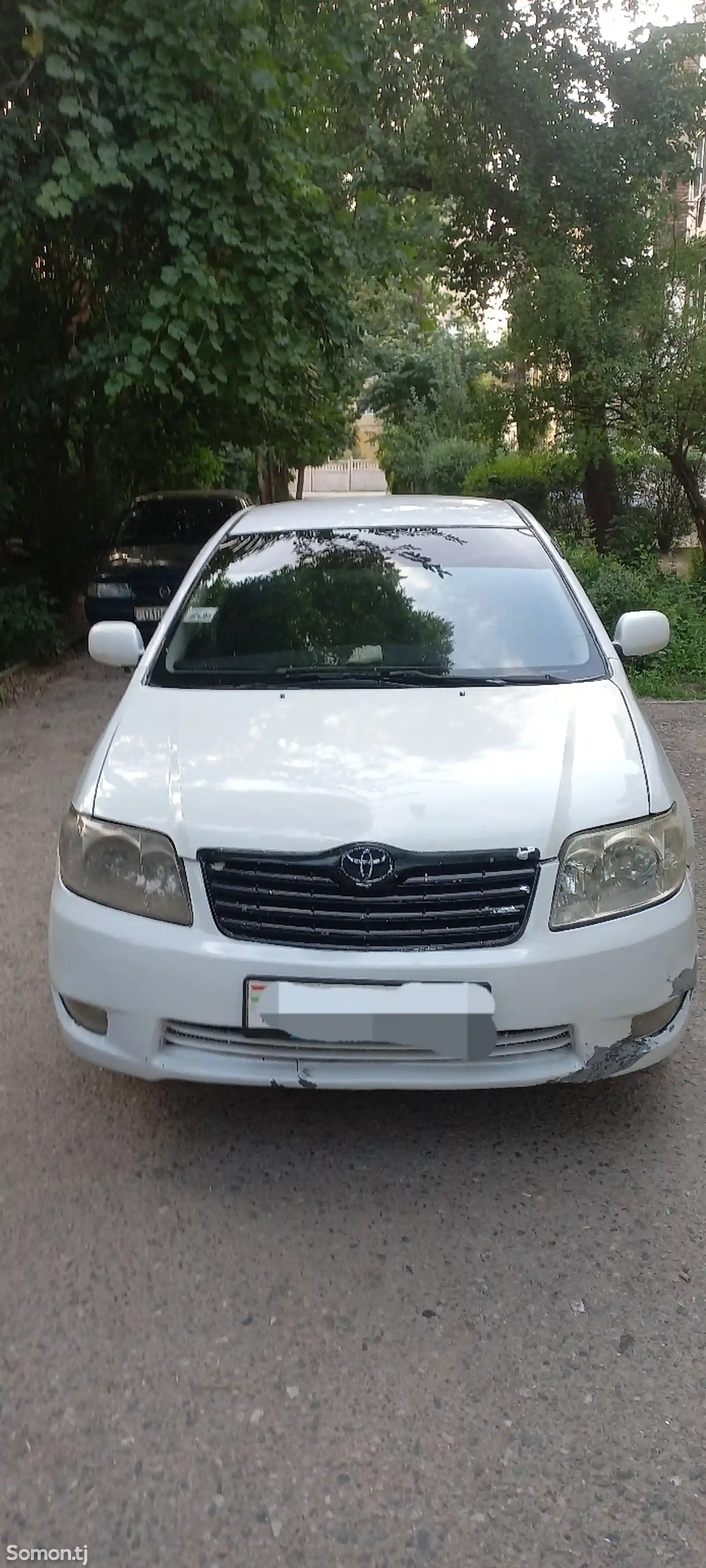 Toyota Corolla, 2002-1