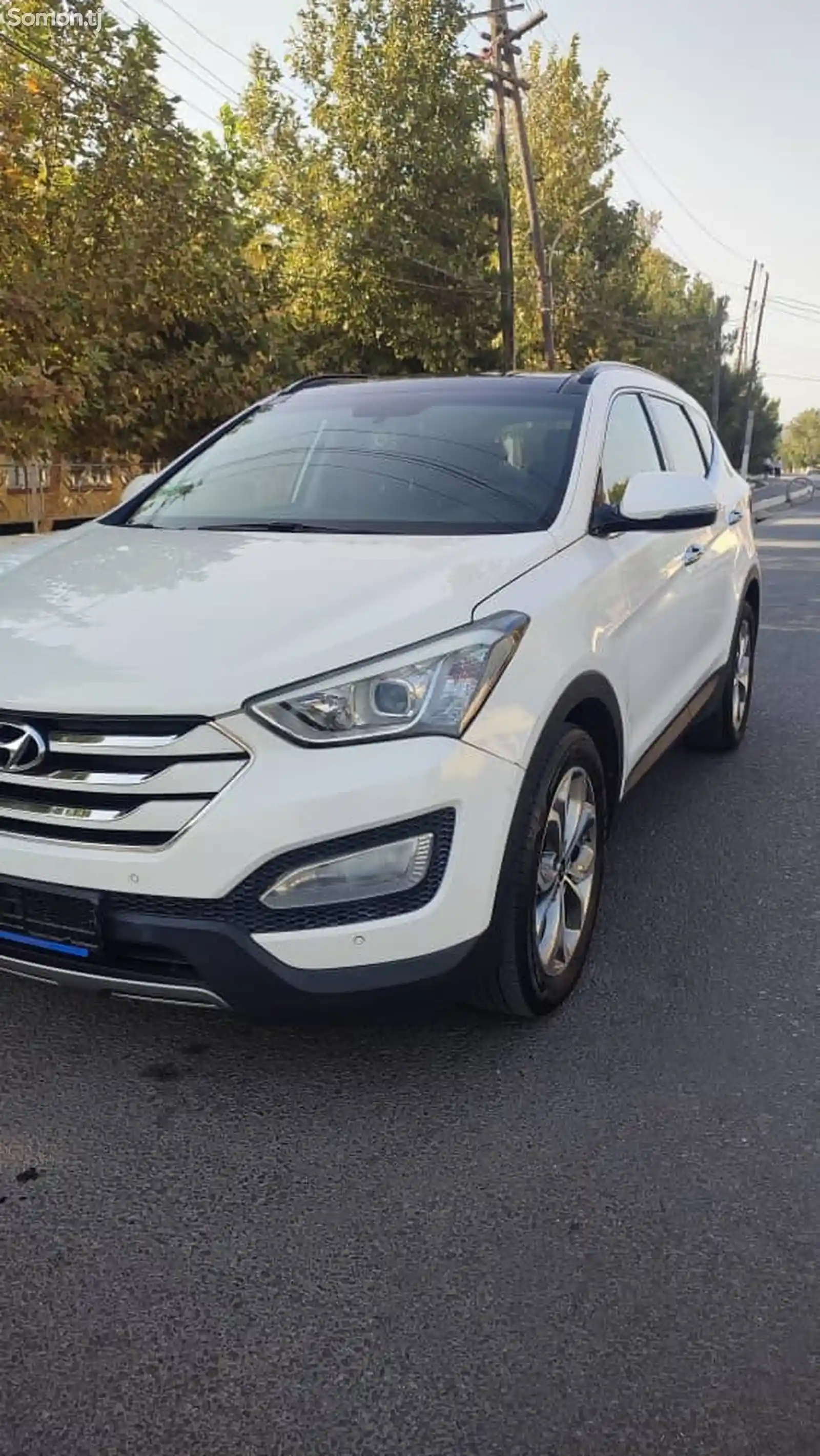 Hyundai Santa Fe, 2014-6