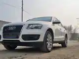 Audi Q5, 2010-2