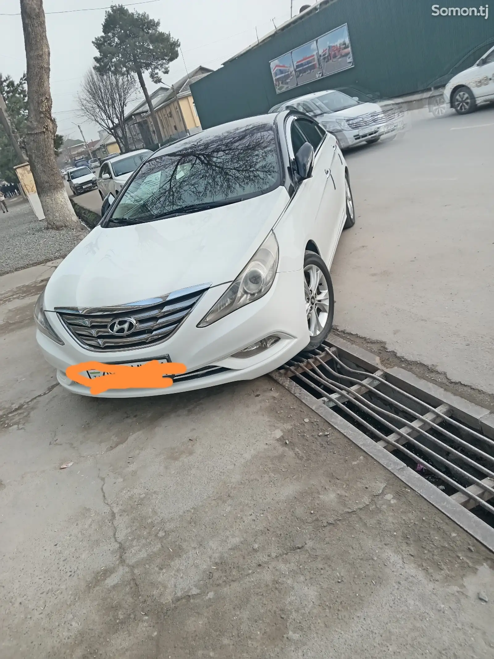 Hyundai Sonata, 2010-1