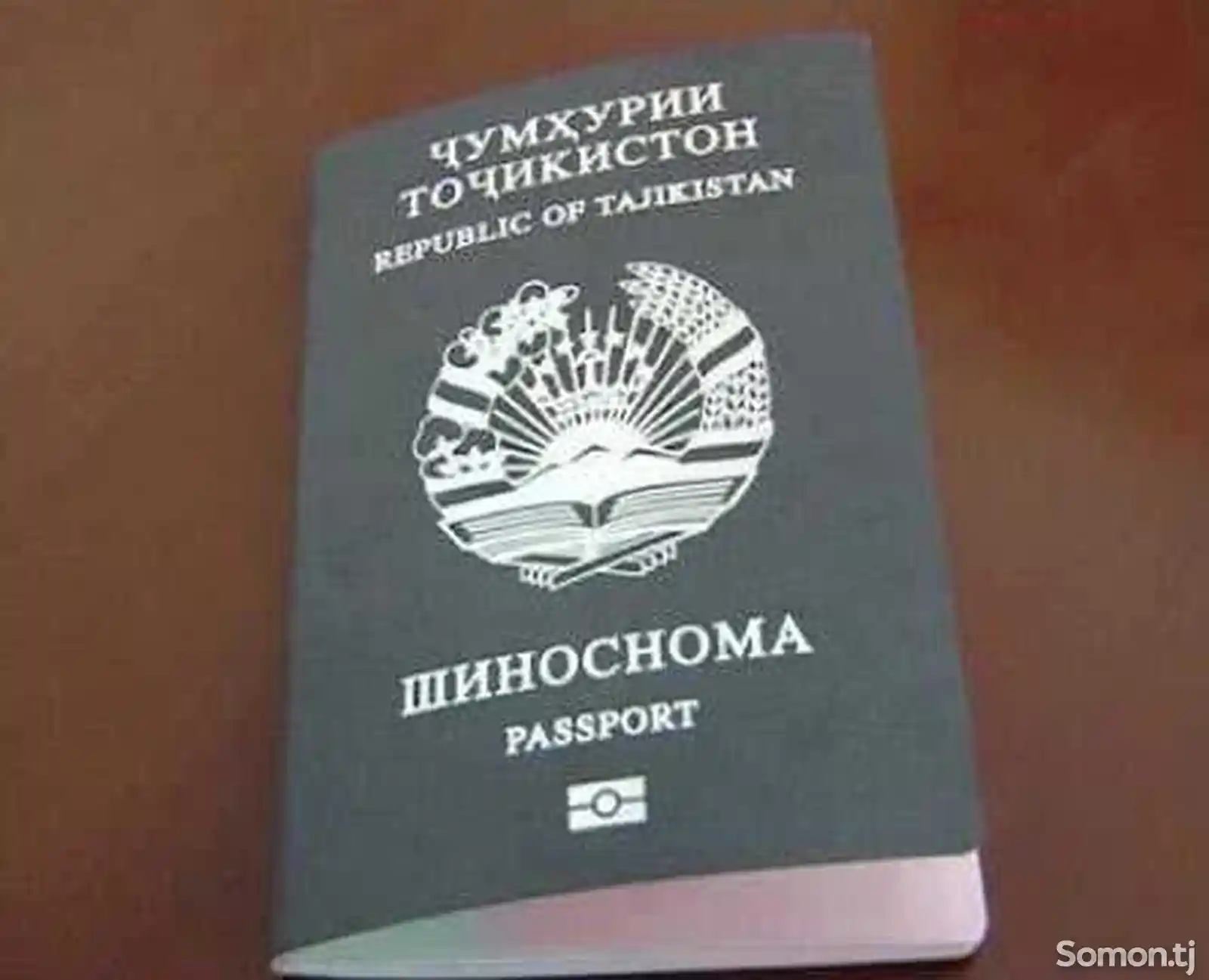 Проверка загранпаспорта на въезд в Россию-2